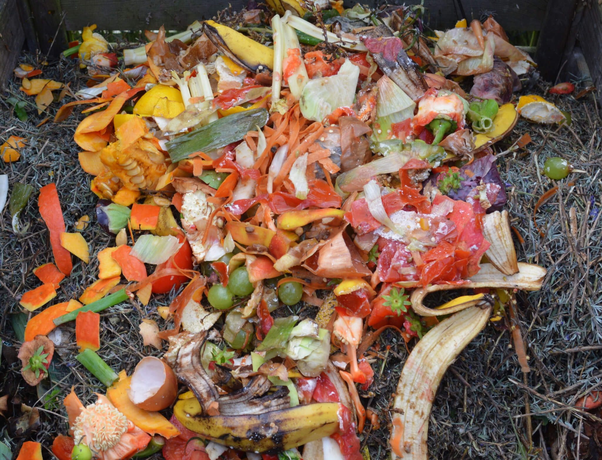 composting organic waste for a waste management plan (WMP) report