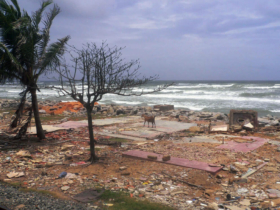 3. Example of the damage caused by the tsunami in this district 3. Example of the damage caused by the tsunami in this district