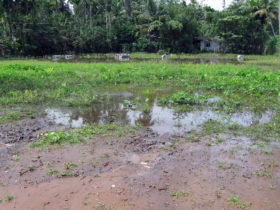7. First we had to work to determine the flood levels of land chosen as the new site for dwellings 7. First we had to work to determine the flood levels of land chosen as the new site for dwellings