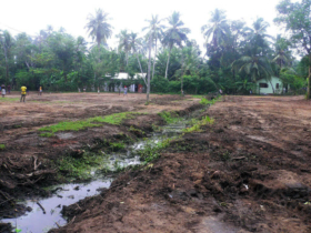 8. And then we had to improve the drainage of the creek in the area 8. And then we had to improve the drainage of the creek in the area
