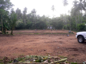 9. Next we cleared the land in preparation for building 9. Next we cleared the land in preparation for building