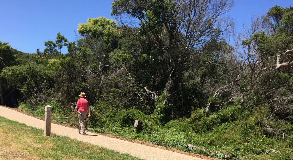 Walking in Blairgowrie