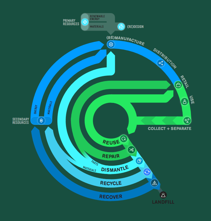 Circular economy diagram from acehub.com.au